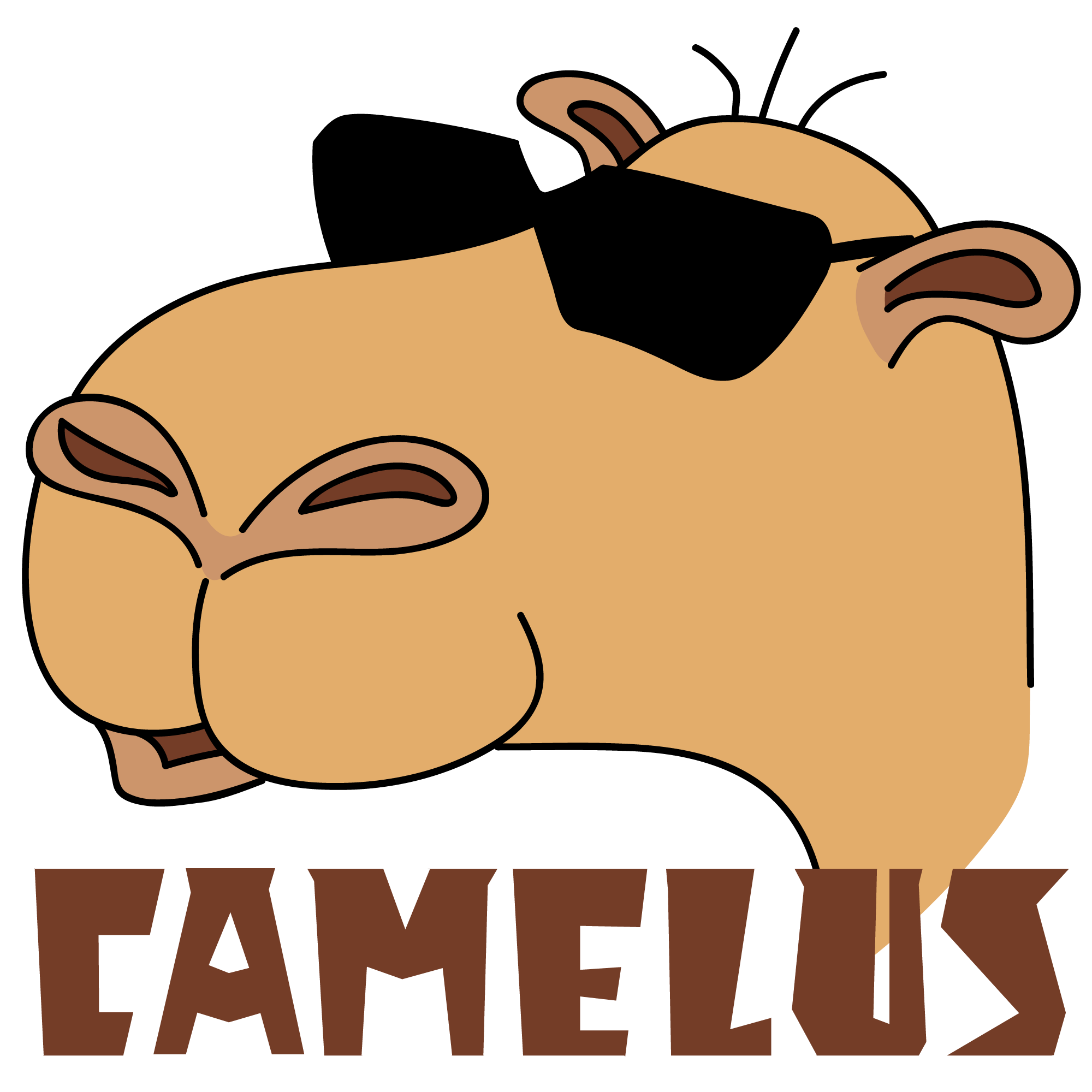 Camelus