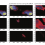 Joint Multichannel Deconvolution and Blind Source Separation