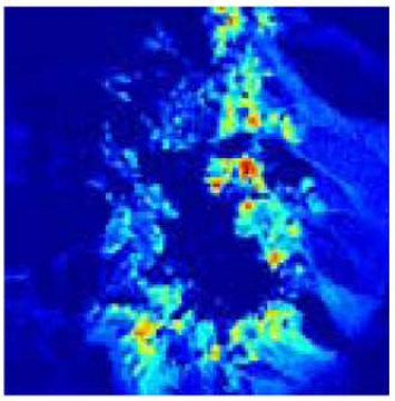 A Novel Hierarchical Bayesian Approach for Sparse Semi-Supervised Hyperspectral Unmixing