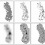 Multi-scale morphology of the galaxy distribution
