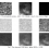 SZ and CMB reconstruction using Generalized Morphological Component Analysis