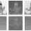Morphological diversity and source separation