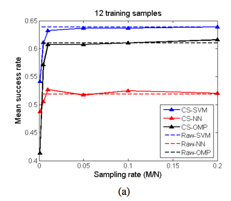 Compressive video classification for decision systems with limited resources