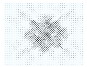 Polarized wavelets and curvelets on the sphere