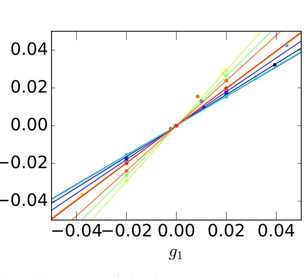 A highly precise shape-noise-free shear bias estimator