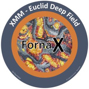FornaX project