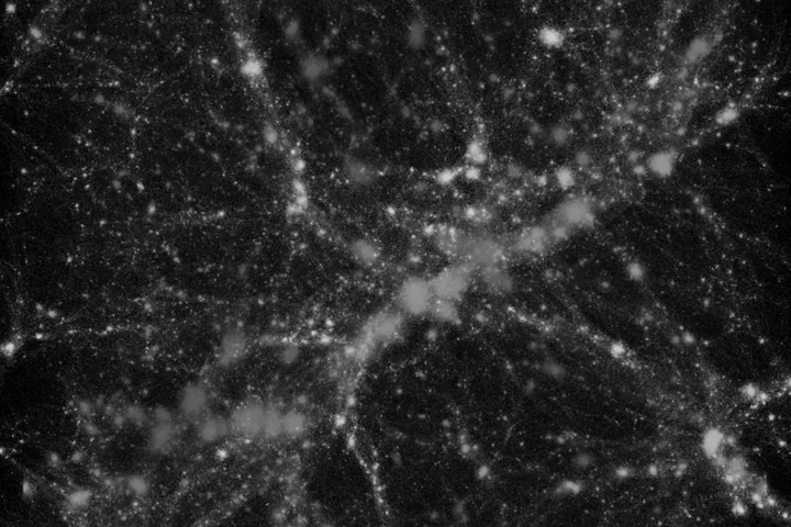 AI and physics combine to deliver the sharpest weak-lensing view of the dark Universe